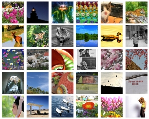 My Flickr favorites